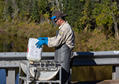 Technician Rinsing Empty Lampricide Containers